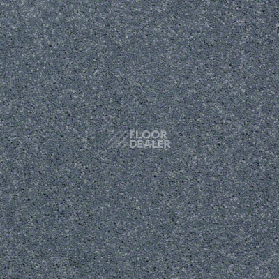 Ковролин Shaw Design Texture Platinum 421 фото 1 | FLOORDEALER