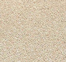 Ковролин Vorwerk Passion 1001 Vorwerk 8h88 фото 1 | FLOORDEALER