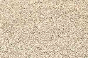 Ковролин Vorwerk Passion 1001 Vorwerk 8h88 фото  | FLOORDEALER