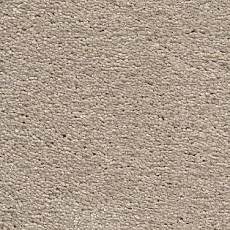 AW Magnificus 31 фото 1 | FLOORDEALER