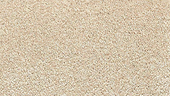 Ковролин Vorwerk Passion 1001 Vorwerk 8h88 фото 1 | FLOORDEALER