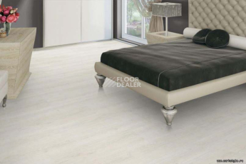 Wood замковое OAK POLAR WHITE фото 3 | FLOORDEALER