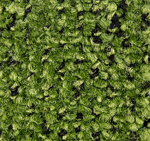 Balsan Take a Walk 240 Take a Walk фото 4 | FLOORDEALER