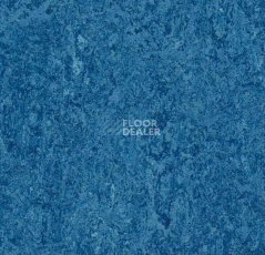 Линолеум Forbo Marmoleum Decibel 303035 blue фото 1 | FLOORDEALER