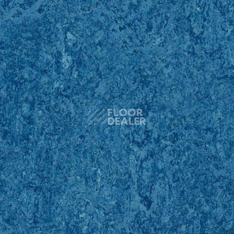 Линолеум Forbo Marmoleum Decibel 303035 blue фото 1 | FLOORDEALER