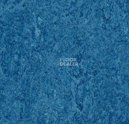 Линолеум Forbo Marmoleum Decibel 303035 blue фото 1 | FLOORDEALER