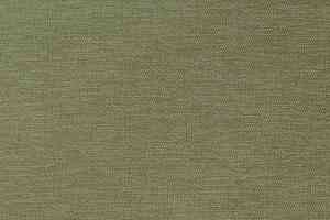 Кварцвиниловые полы Bolon Botanic SAGE фото  | FLOORDEALER