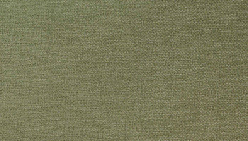 Кварцвиниловые полы Bolon Botanic SAGE фото 1 | FLOORDEALER