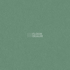 Линолеум Graboflex Gymfit 60 7483_00_279 фото 1 | FLOORDEALER