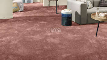 Vorwerk Superior 1064/Lyrica Vorwerk 1n39 фото 2 | FLOORDEALER