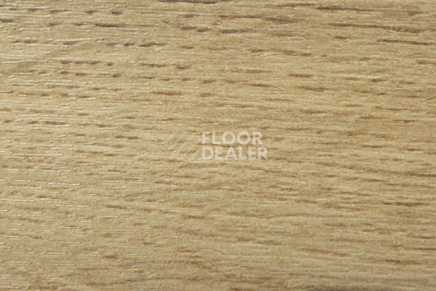 Виниловая плитка ПВХ Vertigo Trend / Wood 3314 CHABLIC OAK 184.2 мм X 1219.2 мм фото 1 | FLOORDEALER