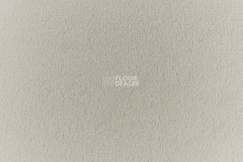 Ковролин Vorwerk Passion 1000/Modena Vorwerk 5v22 фото 1 | FLOORDEALER