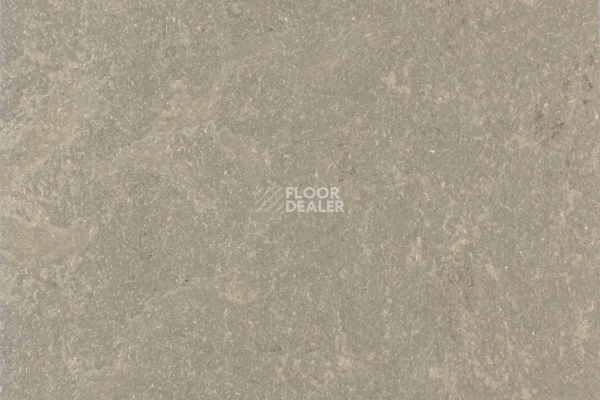 Линолеум Forbo Marmoleum Solid Concrete 3705-370535 meteorite фото 1 | FLOORDEALER