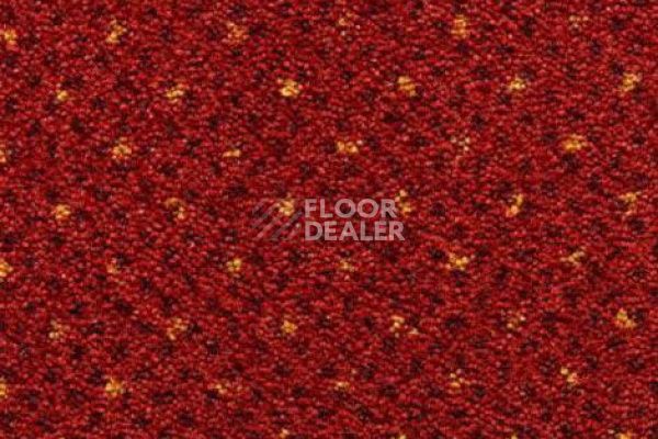 Ковролин CONDOR Carpets America 233 фото 1 | FLOORDEALER