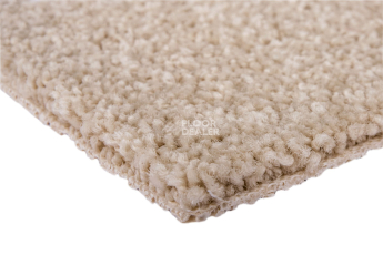 Haima Noble 69 фото 5 | FLOORDEALER