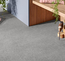 Vorwerk Superior 1072/Nutria Comfort Vorwerk 5x64 фото 2 | FLOORDEALER