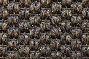 Циновки Циновка Mani 9505 фото  | FLOORDEALER