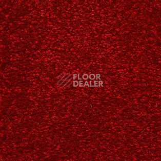 Ковролин AW Suspense 12 фото 1 | FLOORDEALER