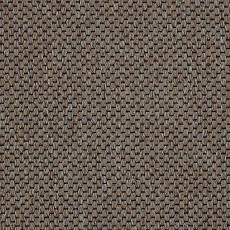 Ковролин Carpet Concept Yve 2 6402 фото 1 | FLOORDEALER