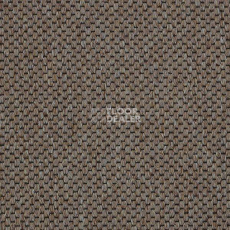 Ковролин Carpet Concept Yve 2 6402 фото 1 | FLOORDEALER