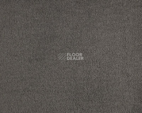 Ковролин Lano Celeste 810 Charcoal фото 1 | FLOORDEALER