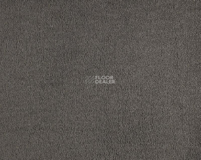 Lano Celeste 810 Charcoal фото 1 | FLOORDEALER