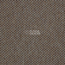 Ковролин Carpet Concept Yve 2 6402 фото 1 | FLOORDEALER