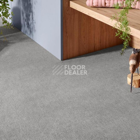 Vorwerk Superior 1072/Nutria Comfort Vorwerk 5x64 фото 2 | FLOORDEALER