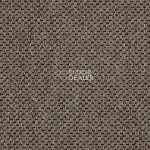 Ковролин Carpet Concept Yve 2 6402 фото 1 | FLOORDEALER