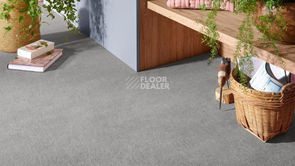 Vorwerk Superior 1072/Nutria Comfort Vorwerk 5x64 фото 2 | FLOORDEALER