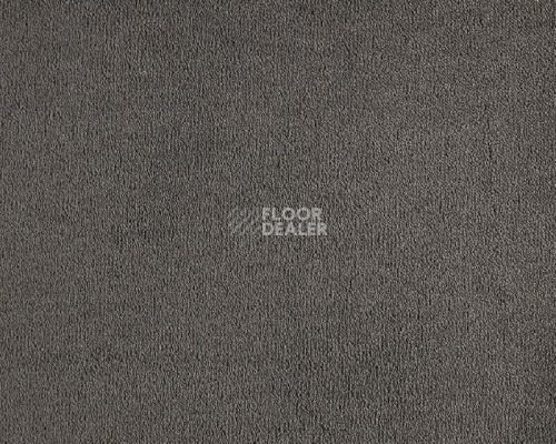 Ковролин Lano Celeste 810 Charcoal фото 1 | FLOORDEALER