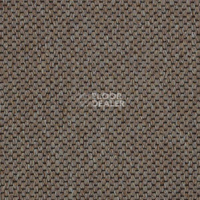 Ковролин Carpet Concept Yve 2 6402 фото 1 | FLOORDEALER