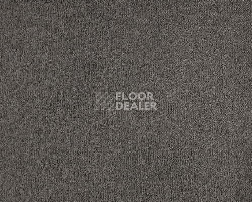 Ковролин Lano Celeste 810 Charcoal фото 1 | FLOORDEALER