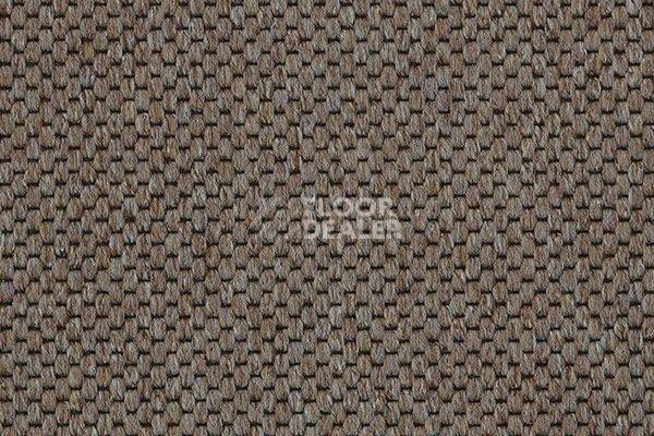 Ковролин Carpet Concept Yve 2 6402 фото 1 | FLOORDEALER