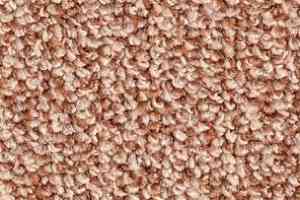 Ковролин Balsan Omega 748 фото  | FLOORDEALER