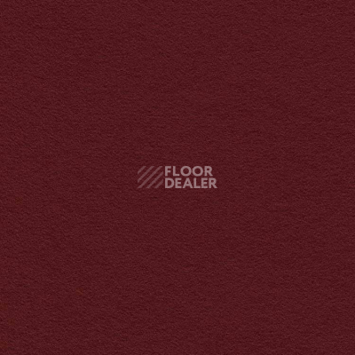 Ковролин Finett Feinwerk 503512 фото 1 | FLOORDEALER