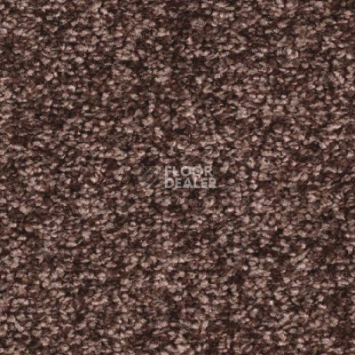 Ковролин Balsan Ultrasoft 770 фото 1 | FLOORDEALER