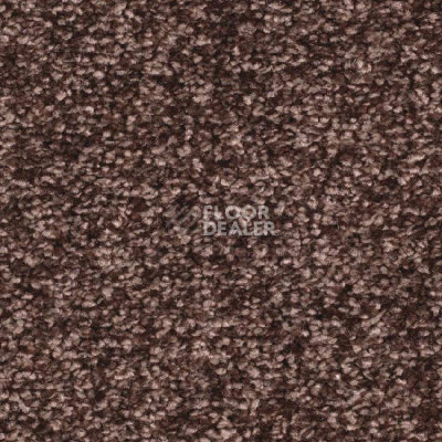 Ковролин Balsan Ultrasoft 770 фото 1 | FLOORDEALER