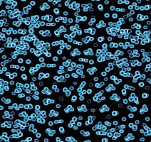 Ковролин Flotex Sottsass Bacteria 990105 фото 1 | FLOORDEALER