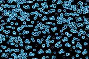 Ковролин Flotex Sottsass Bacteria 990105 фото  | FLOORDEALER