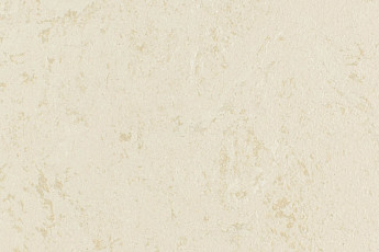 Линолеум Forbo Marmoleum Solid Concrete 3728-372835 Kaolin фото 1 | FLOORDEALER