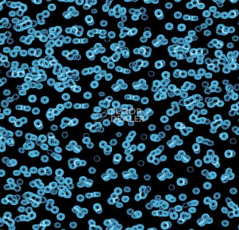 Ковролин Flotex Sottsass Bacteria 990105 фото 1 | FLOORDEALER