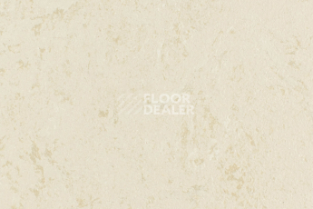Линолеум Forbo Marmoleum Solid Concrete 3728-372835 Kaolin фото 1 | FLOORDEALER