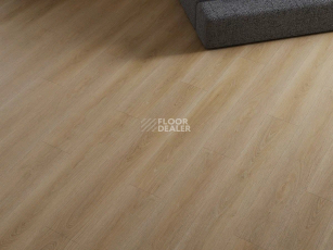 Norland Sigrid Superior 8мм Alda 1008-9 ABA фото 2 | FLOORDEALER