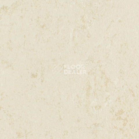 Линолеум Forbo Marmoleum Solid Concrete 3728-372835 Kaolin фото 1 | FLOORDEALER