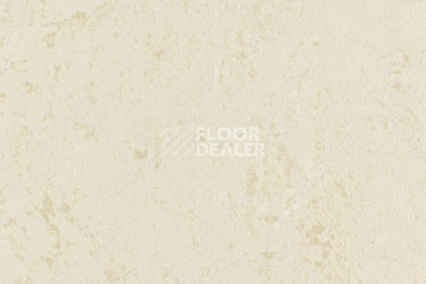 Линолеум Forbo Marmoleum Solid Concrete 3728-372835 Kaolin фото 1 | FLOORDEALER