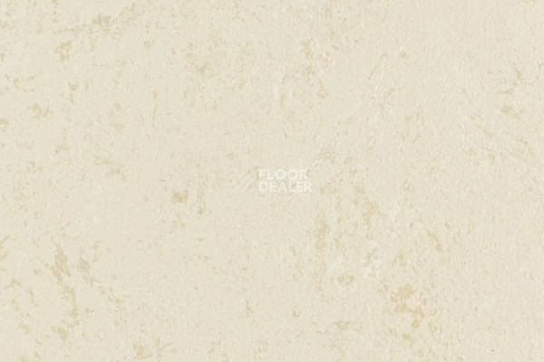 Линолеум Forbo Marmoleum Solid Concrete 3728-372835 Kaolin фото 1 | FLOORDEALER