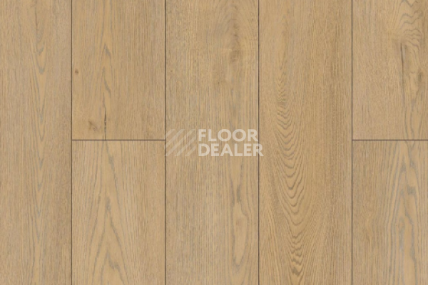 Виниловая плитка ПВХ Alpine Floor Premium XL 229 ECO 7-29 Дуб Вега фото 1 | FLOORDEALER