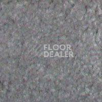 Ковролин Hidden Treasure Beaulie of America Fog 12 фото 1 | FLOORDEALER