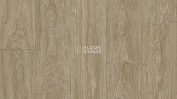 Линолеум Tarkett Club Maximus 2 фото 1 | FLOORDEALER